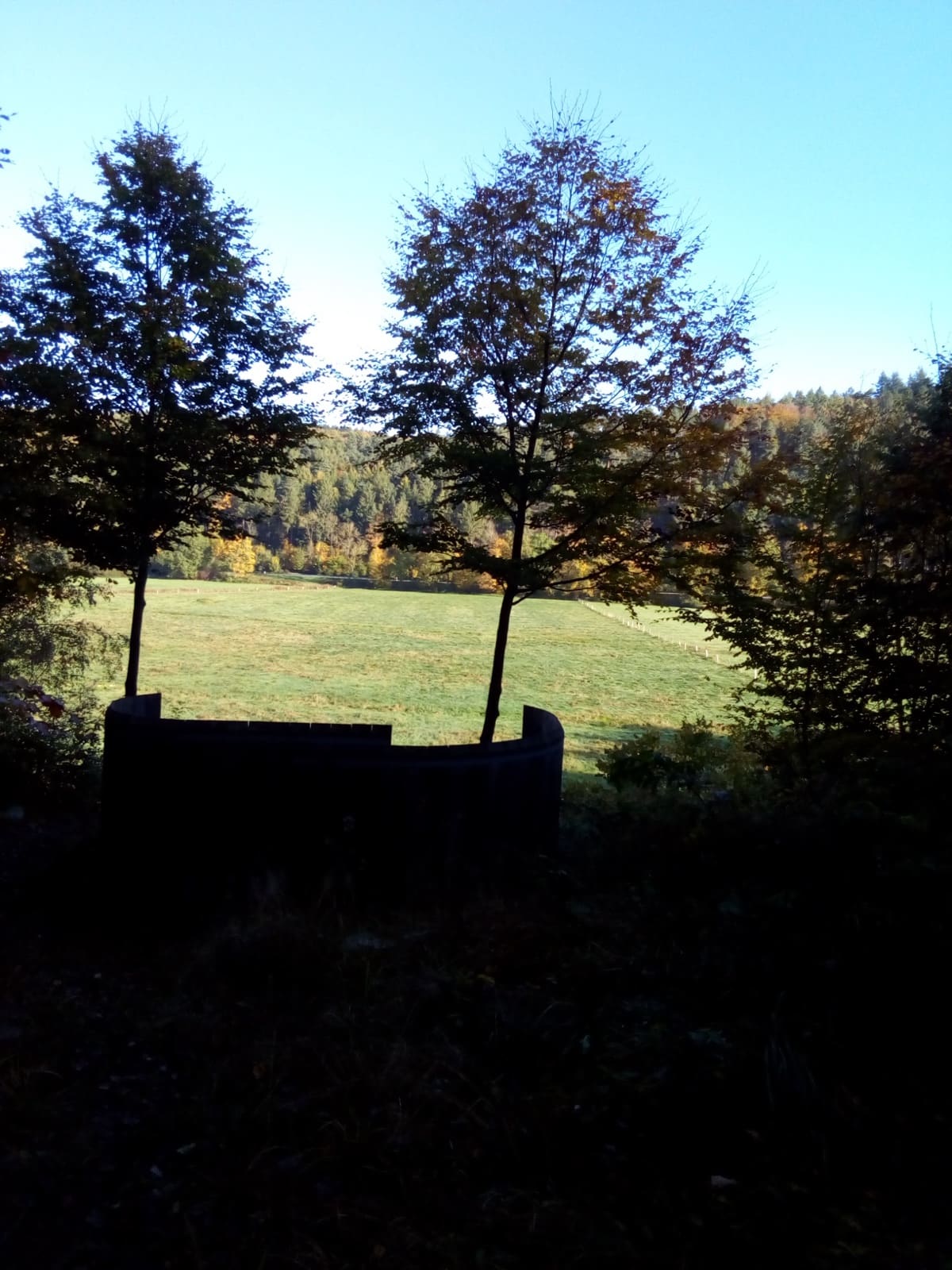 Aussichtspunkt Almeaue im Ringelsteiner Wald, Bild 2