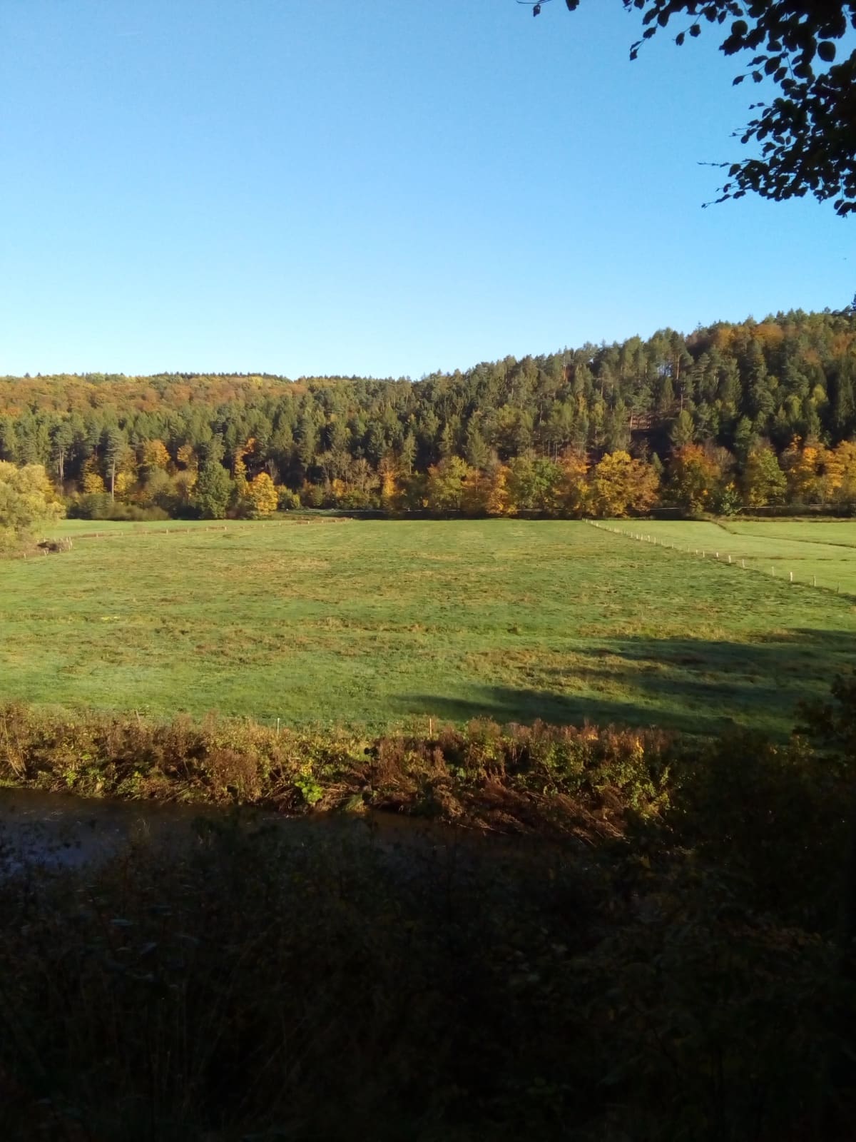 Aussichtspunkt Almeaue im Ringelsteiner Wald, Bild 3