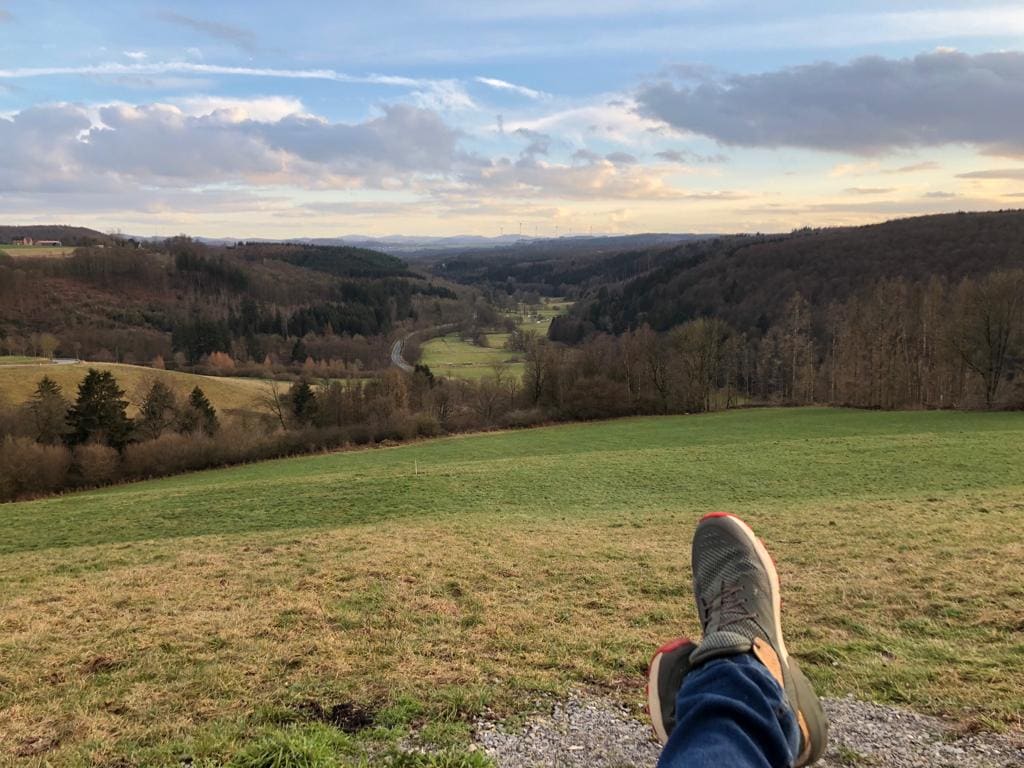 Blick vom Almetalblick über Wiesen ins bewaldete Almetal